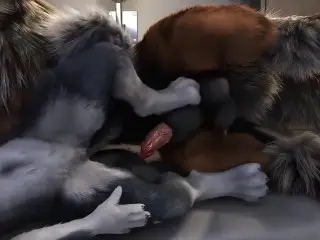 3D-Animation Mr.Fox Fuck Mrs.Fox
