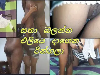 සතෙක් එලවන්න කෙල්ලො ඉන්න බෝඩිමට එන්න කිවුවා ඉතින් යනකොට (Go to her Boarding School and Fuck her