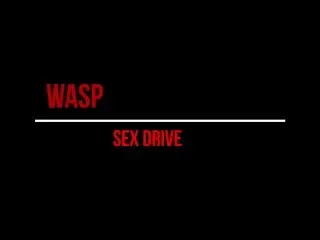 Wasp - Sex Drive