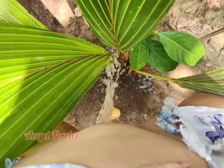 Piss on Small Palm Tree (I made a Tropical Golden Shower)