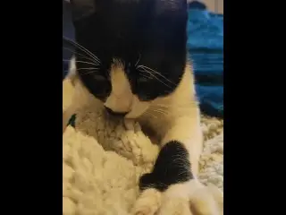 Look at my Pussy while i'm on the Bed