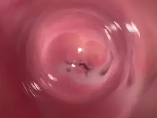 Internal Camera inside Tight Creamy Vagina, Dick's POV