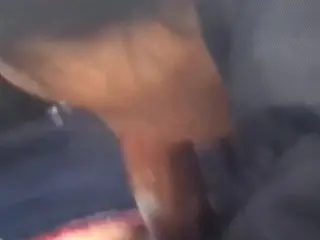 Juicy Blowjob in the Car with Cumshot in the Slut's Mouth.