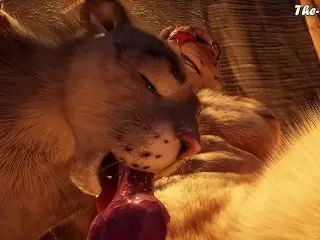 Wild Life 4K - make the Kitty Purr