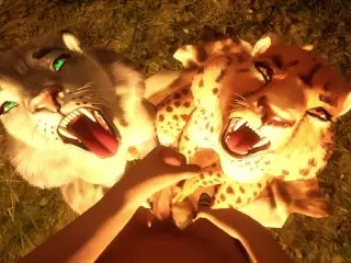 Naughty Kitties ( Wild Life )