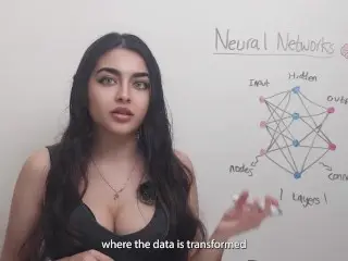 What is a Neural Network?