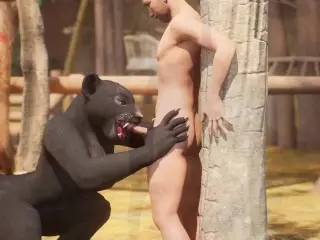 Furry Black Panther Fuck her Human Cock Toy Yiff Hentai Animation