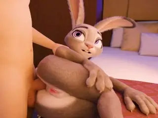 Judy Hopps Anal (Loop)
