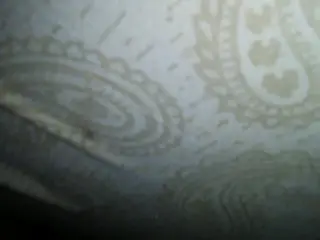 Prostate Cumshot