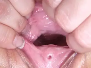 Meaty Vagina (Ally Style)