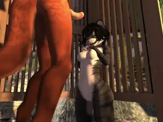 Straight Beach Fucking W/ Anal - second Life Yiff (M)(F)