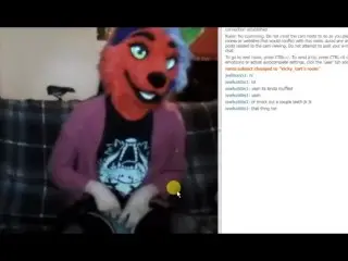 Furry CamShow Highlights