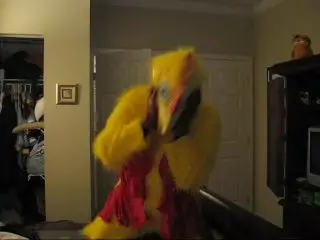 Invasion of the Alien Chicken Suit