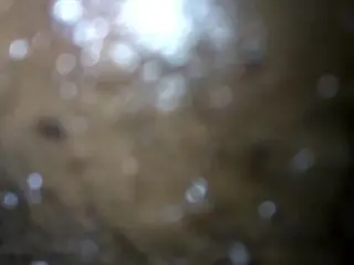 Wife get Dicked down in Pussy n Ass a Squitrs 3 Times Wet as a River