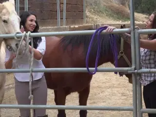 Missy Martinez & Lylith Lavey are Horny & Wet AF while Fucking in the Barn