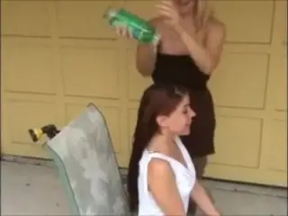 Chair Shampoo