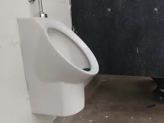 Jerking off Public Bathroom with a Stranger