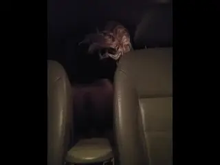 Teenage Couple Fucking in the Backseat