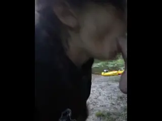 Sloppy Blowjob and Facial while out Kayaking