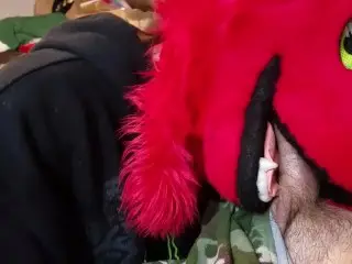 Dumb Bitch Fox Puts Dick in her Mouth