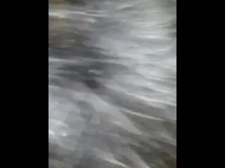 ChurchFlow White Cougar Swallows Young BBC behind Church