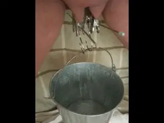 BDSM Pussy Labia Stretching Weight Torture Pissing in a Bucket Clamped Lips