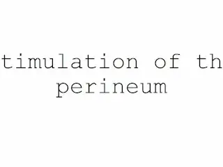 Masturbation Techniques for Men. Stimulation of the Perineum.