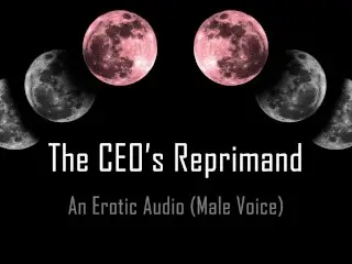 The CEO's Reprimand [erotic Audio] [spanking] [pet Play] [temp]