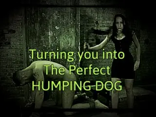 Turning you into the Perfect Humping Dog