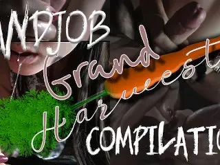 Handjob Compilation from GrandHarwest