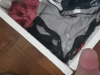 Cum in Sister Panties Drawer - she is not at Home