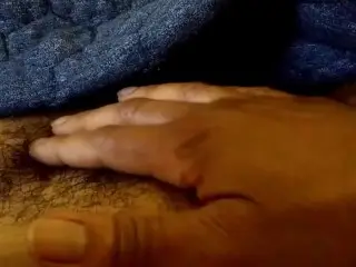 STUD KITTY NEEDS TAMING!