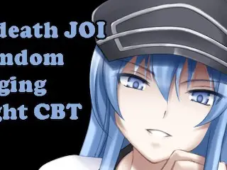 Esdeath Teaches you a Lesson [hentai JOI, AgK JOI] (Femdom, Light CBT, Edging, CEI)