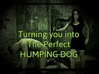 Turning you into the Perfect Humping Dog