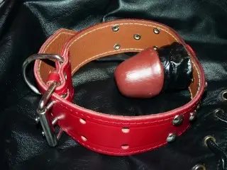 INTRO-Spreadeagle Chained & Penis Gagged Slut Hard Whipping and Ass Hammering