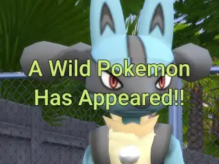 A Wild Pokemon has Appeared