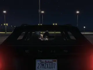 GIRL PICKING UP a HOOKER IN GTAV