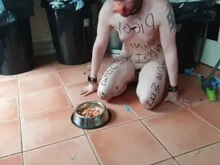 Loser Chastity Pig Eatting Cold Scraps of Food Froma used Dog Bowl