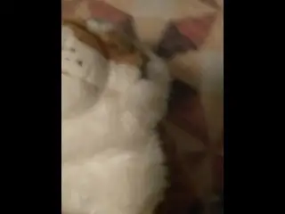 Having Sex with her again after a Couple Drinks