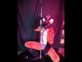 Slow Pole Dance