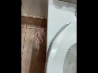 Pee outside then Leave Panties behind Inpublic Restroom Mature MILF BBW