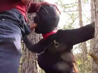 Outdoor Sex in the Wood. Wearing Sexy Clothes and High Heels, Bound, Throated and Fucked