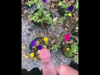 POV Risky Outdoor Pissing & Cumming Compilation all over our Potted Flowers at the Campsite Today