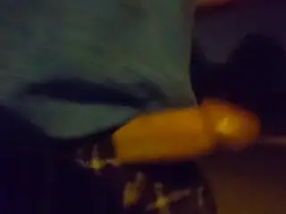 Walking the Dog with my Dick out