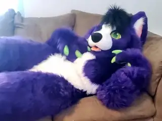 A little alone Time - Solo Fursuit Petting and Rubbing - Solo Female - low Volume