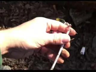 HAVIN SOME FUN OUTSIDE
