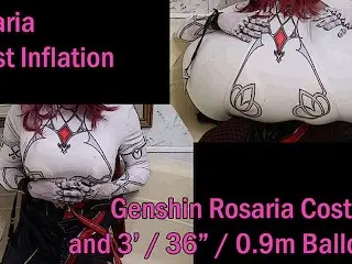 WWM - Rosaria Chest Inflation