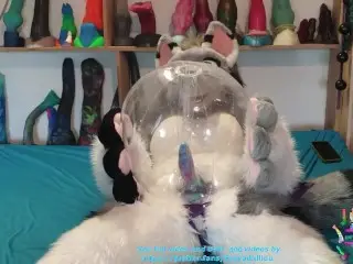 Fucks my new Infla Ball