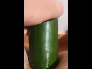 Une Courgette Bien Trop Grosse! 