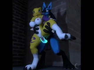 Lucario x Renamon